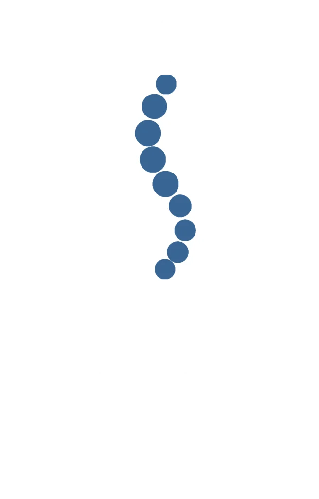 Spinel•li Tratamiento integral de las patologías de la columna
