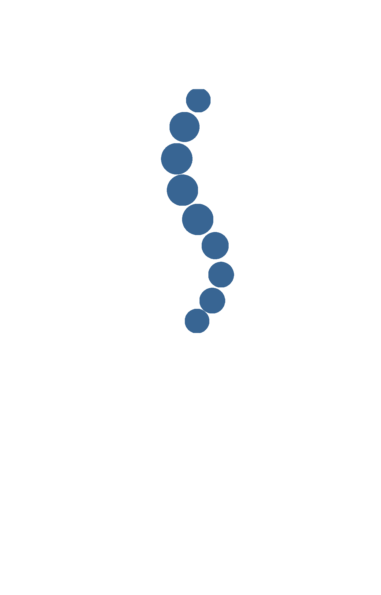 Spinel•li Tratamiento integral de las patologías de la columna